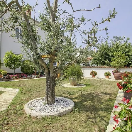 Eva In Porec * Istrien Guest house
